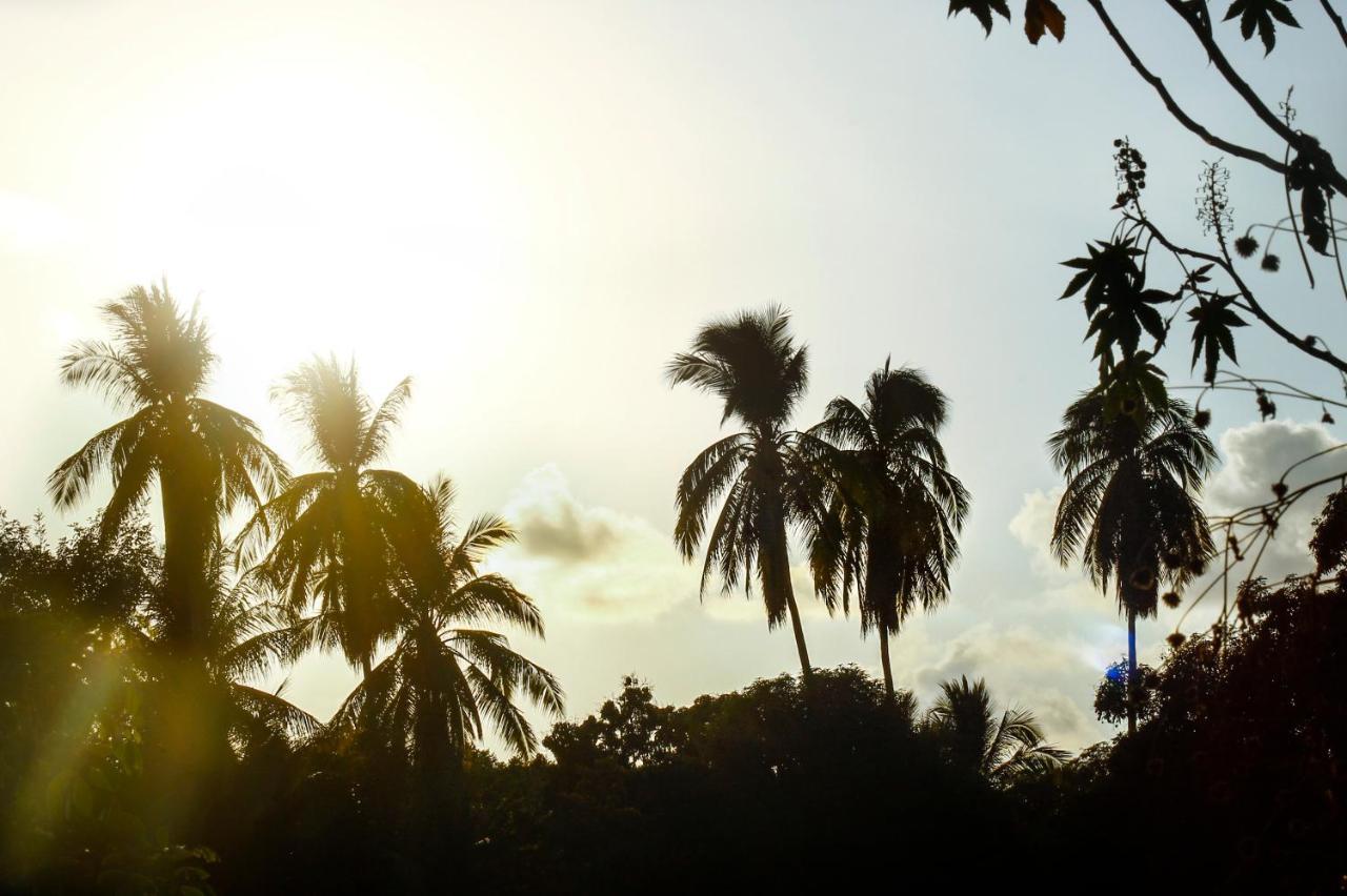 Posada Lupita Puerto Escondido  Εξωτερικό φωτογραφία