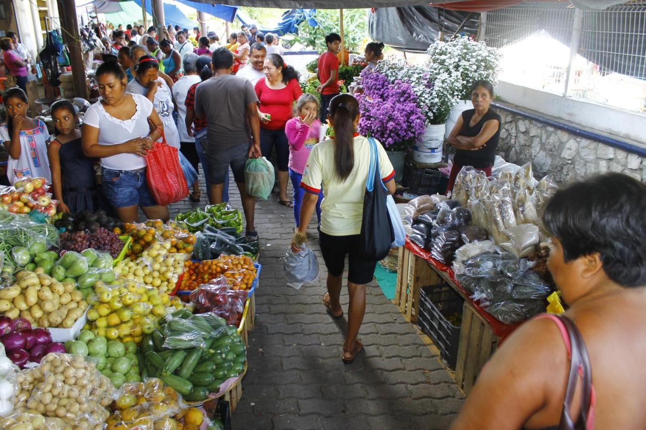 Posada Lupita Puerto Escondido  Εξωτερικό φωτογραφία