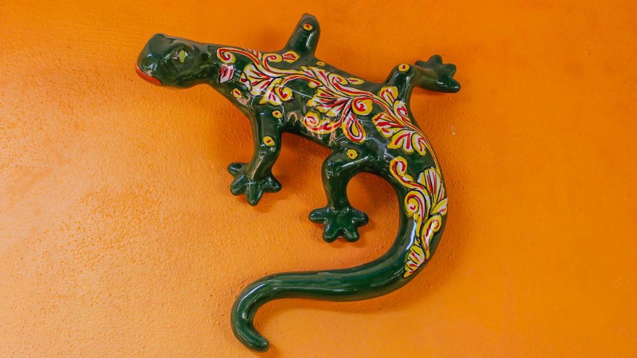 Posada Lupita Puerto Escondido  Εξωτερικό φωτογραφία