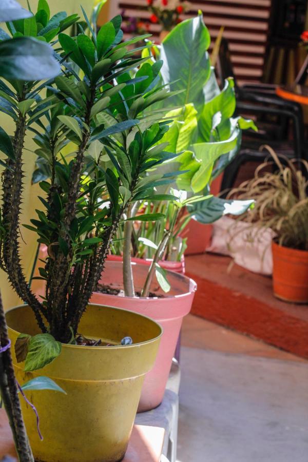 Posada Lupita Puerto Escondido  Εξωτερικό φωτογραφία